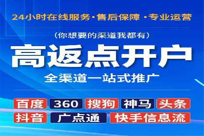 行业专家解析SEM代运营成功案例